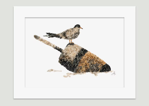 Bird on Buoy Print