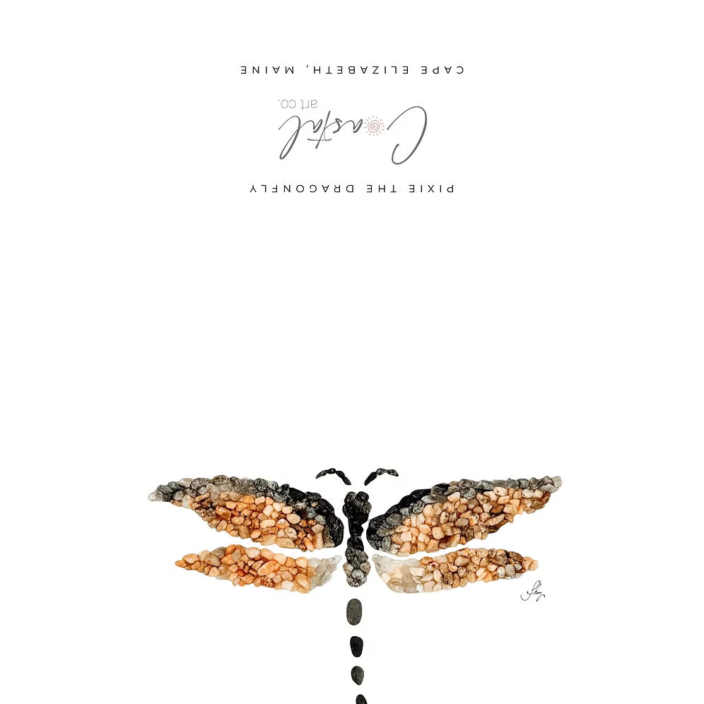 Dragonfly All Occasion Card