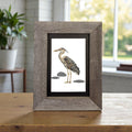 Gray Heron Print
