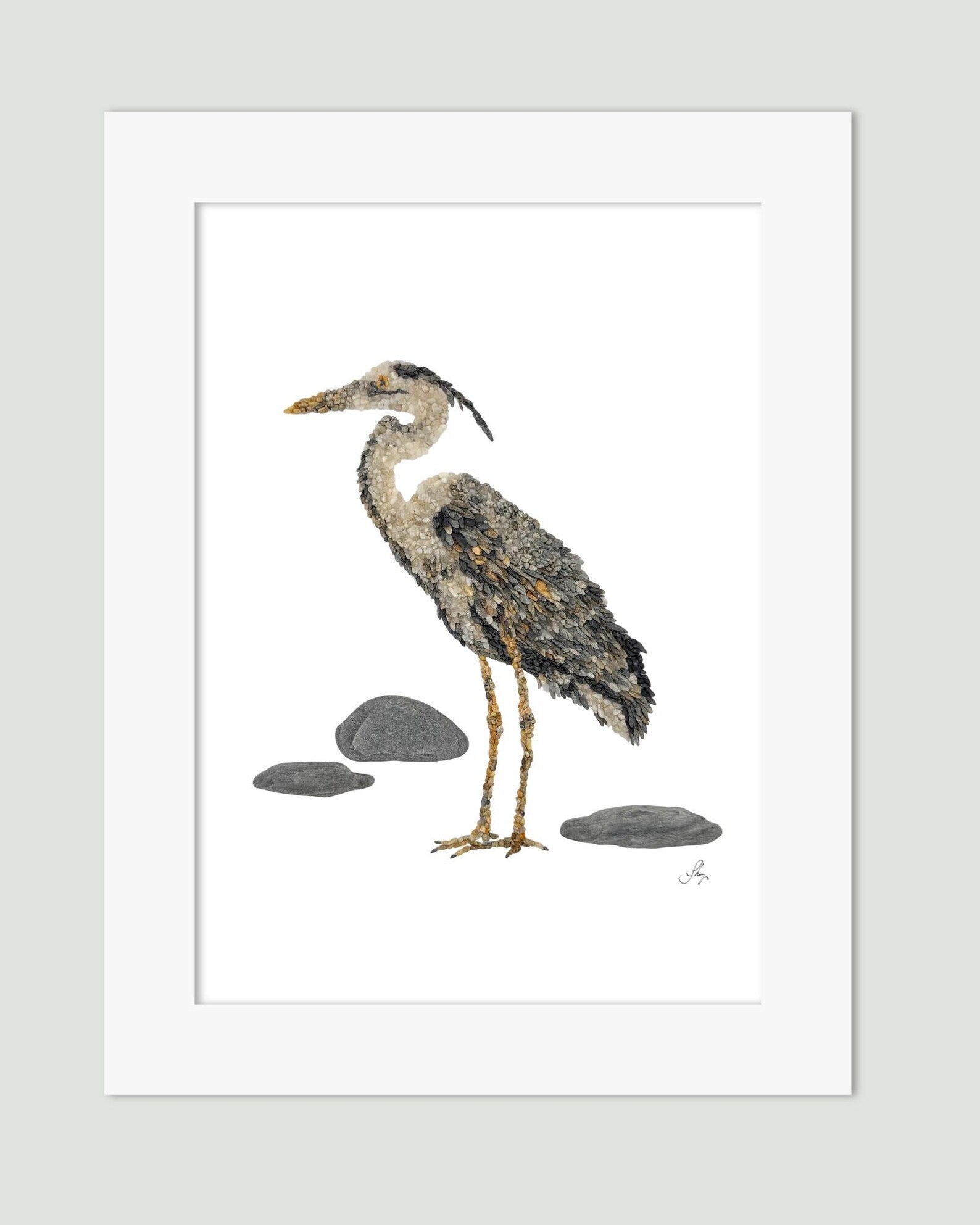 Gray Heron Print