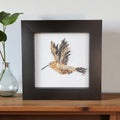 Hummingbird Mini Original