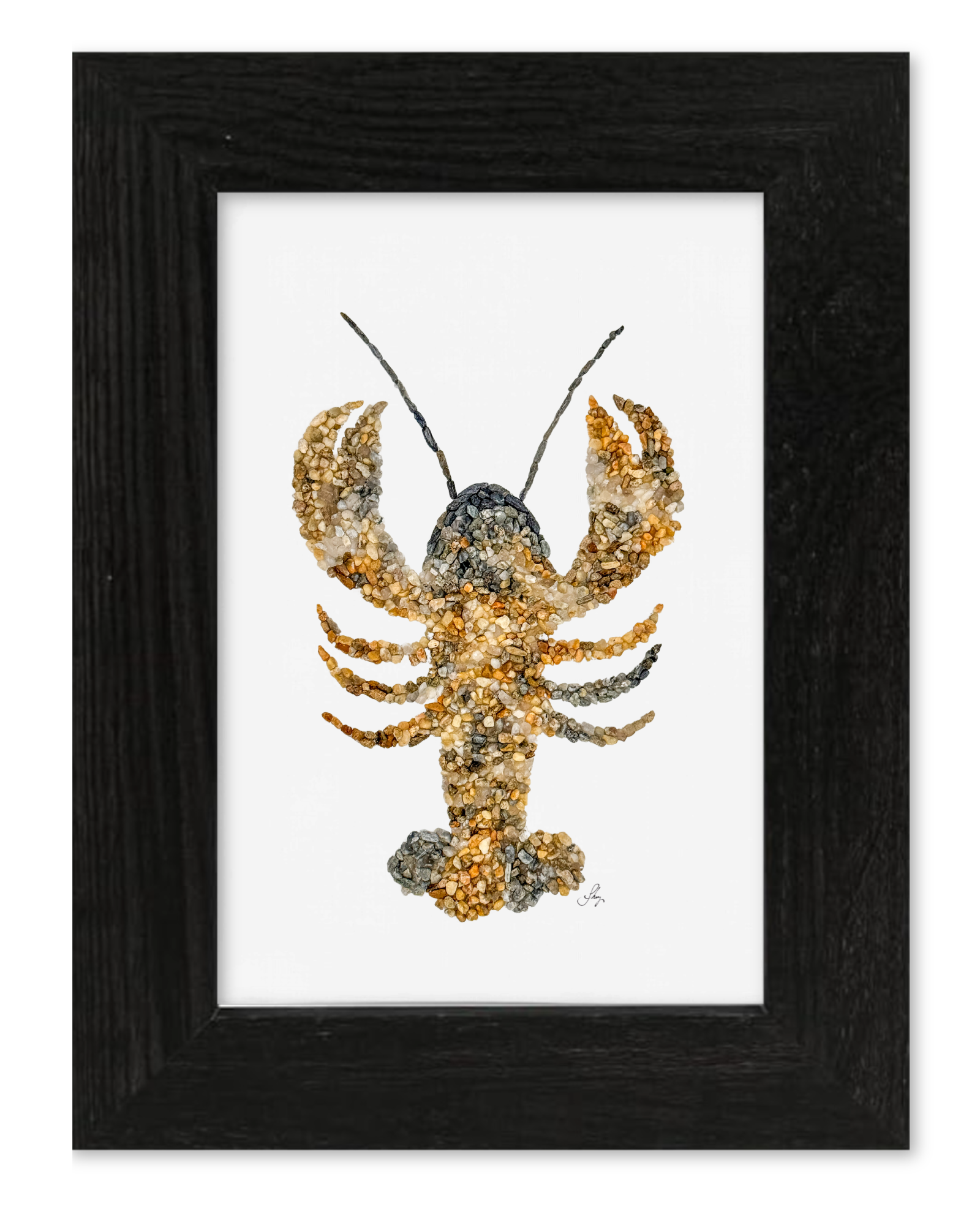 Lobster Print