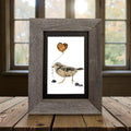 Love Piping Plover Bird Print