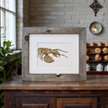 Maine Lobster Original