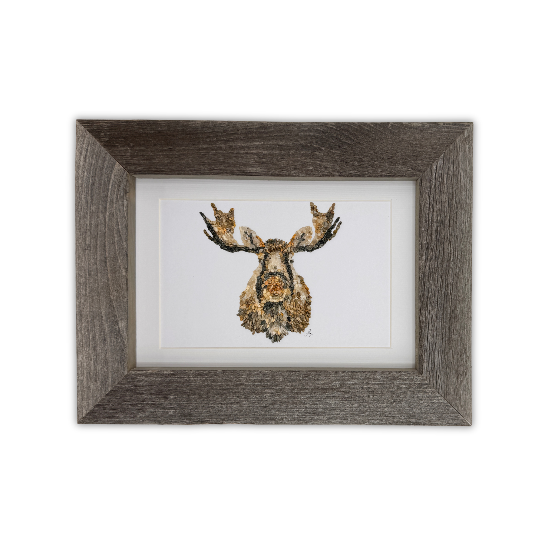 Moose Print