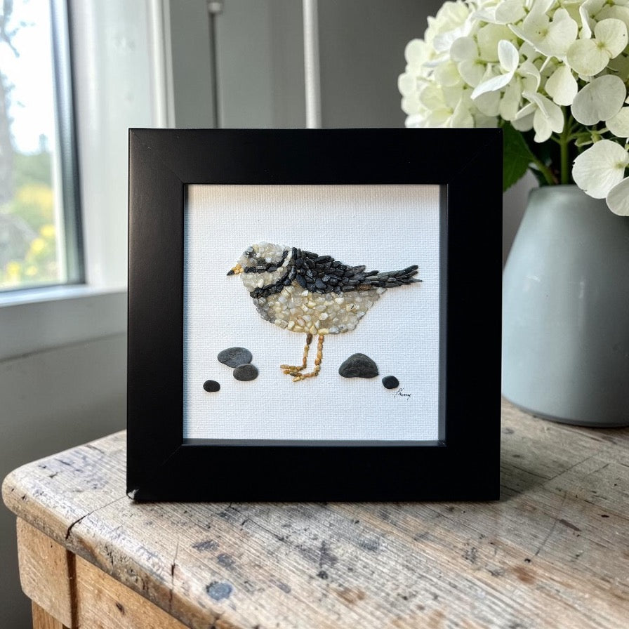 Piping Plover Bird Mini Original