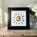 Coastal Sun Mini Original