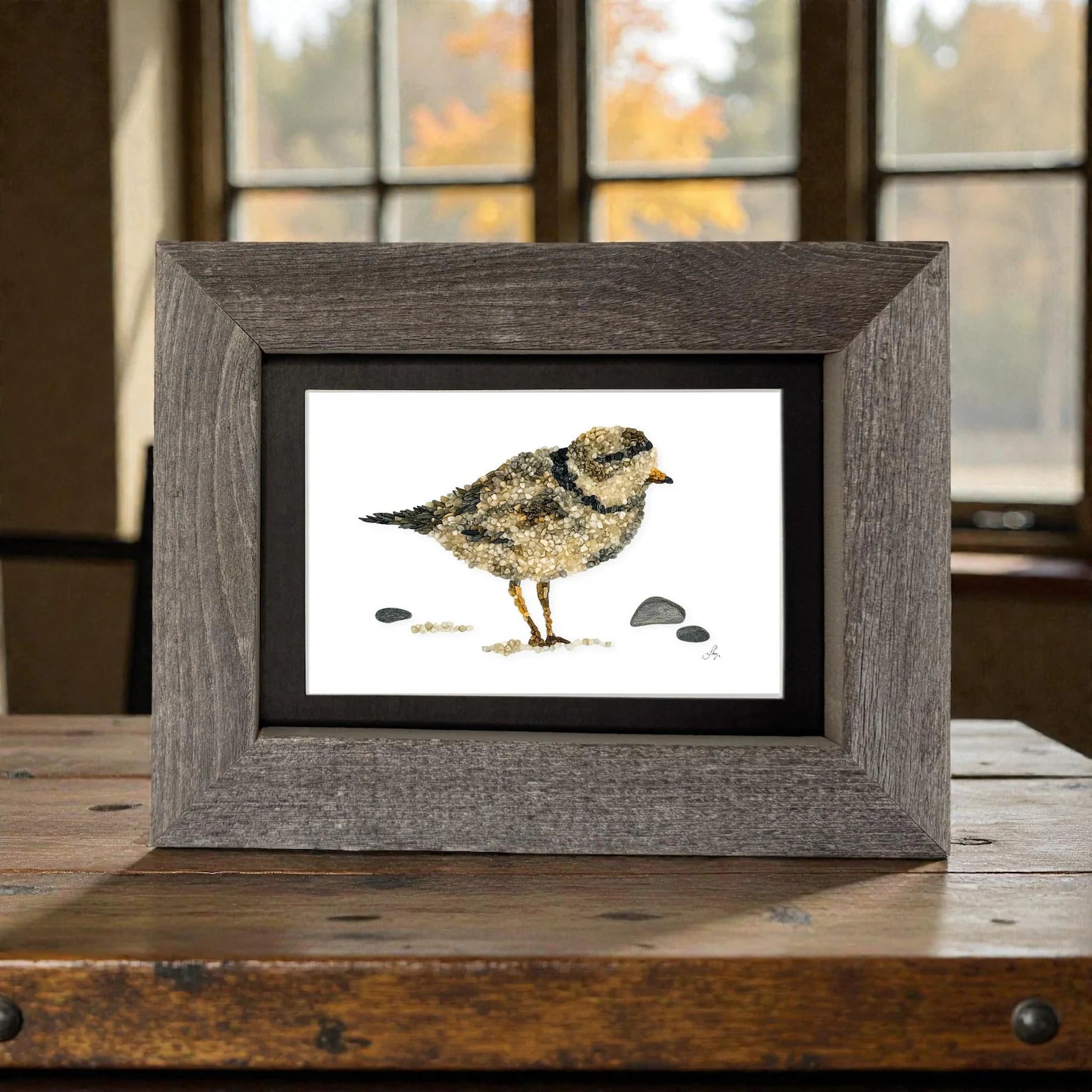 Piping Plover Print