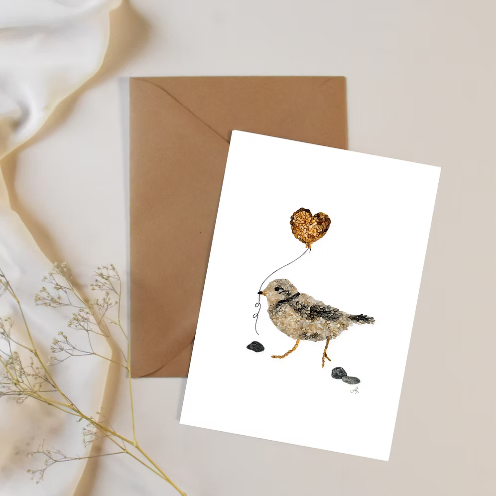 Piping Plover All Occasion Card