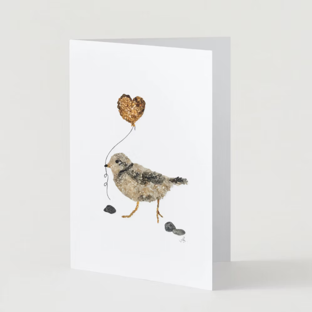 Piping Plover All Occasion Card