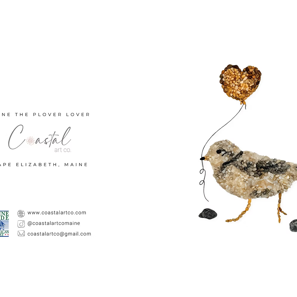 Piping Plover All Occasion Card