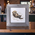 Sea Otter Original
