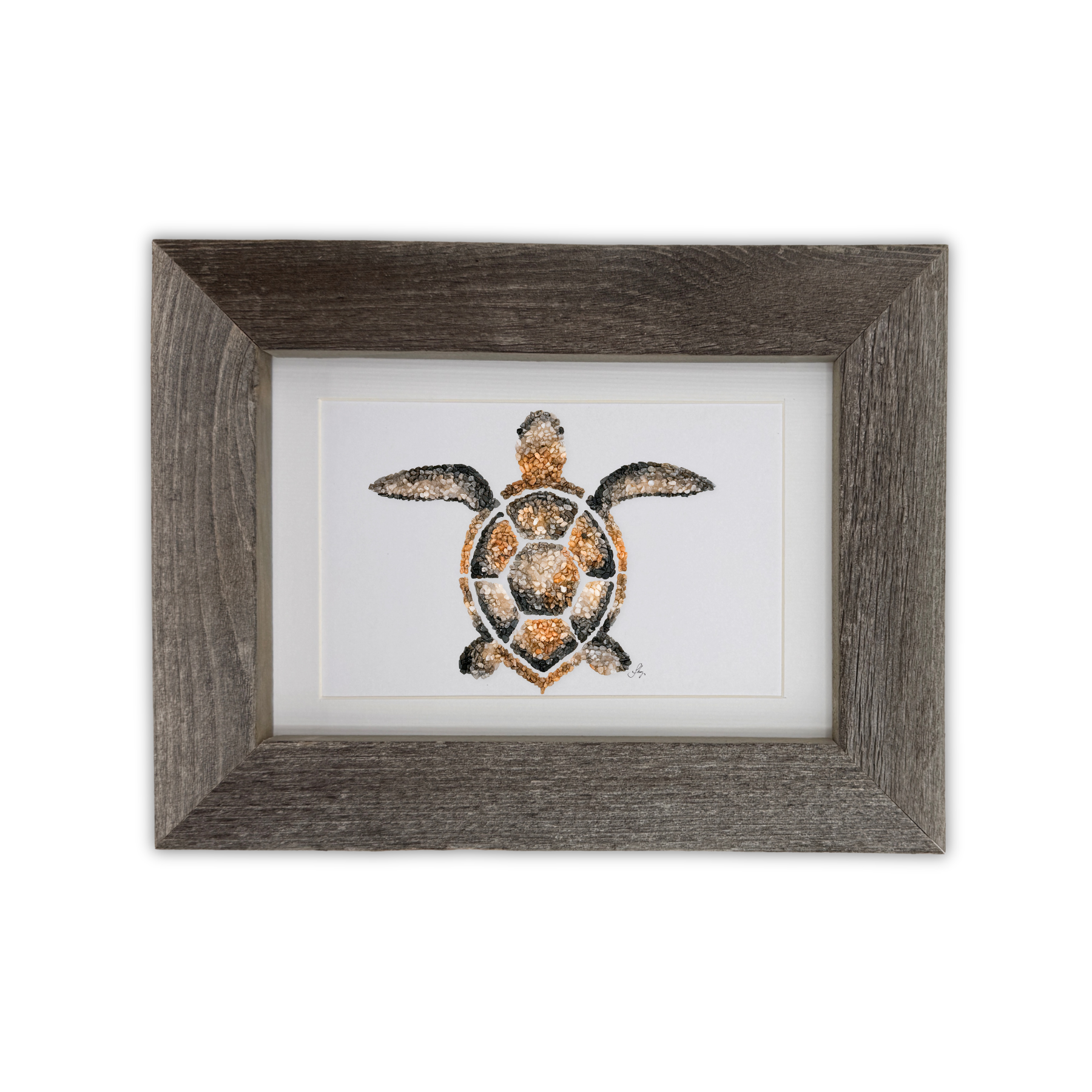 Sea Turtle Print