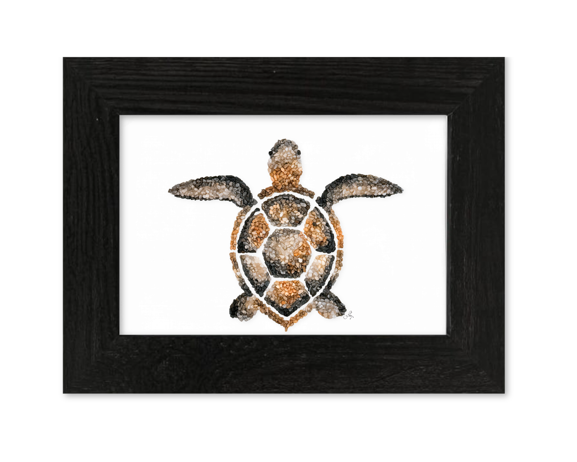 Sea Turtle Print
