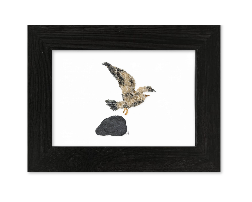 Seagull Bird Print