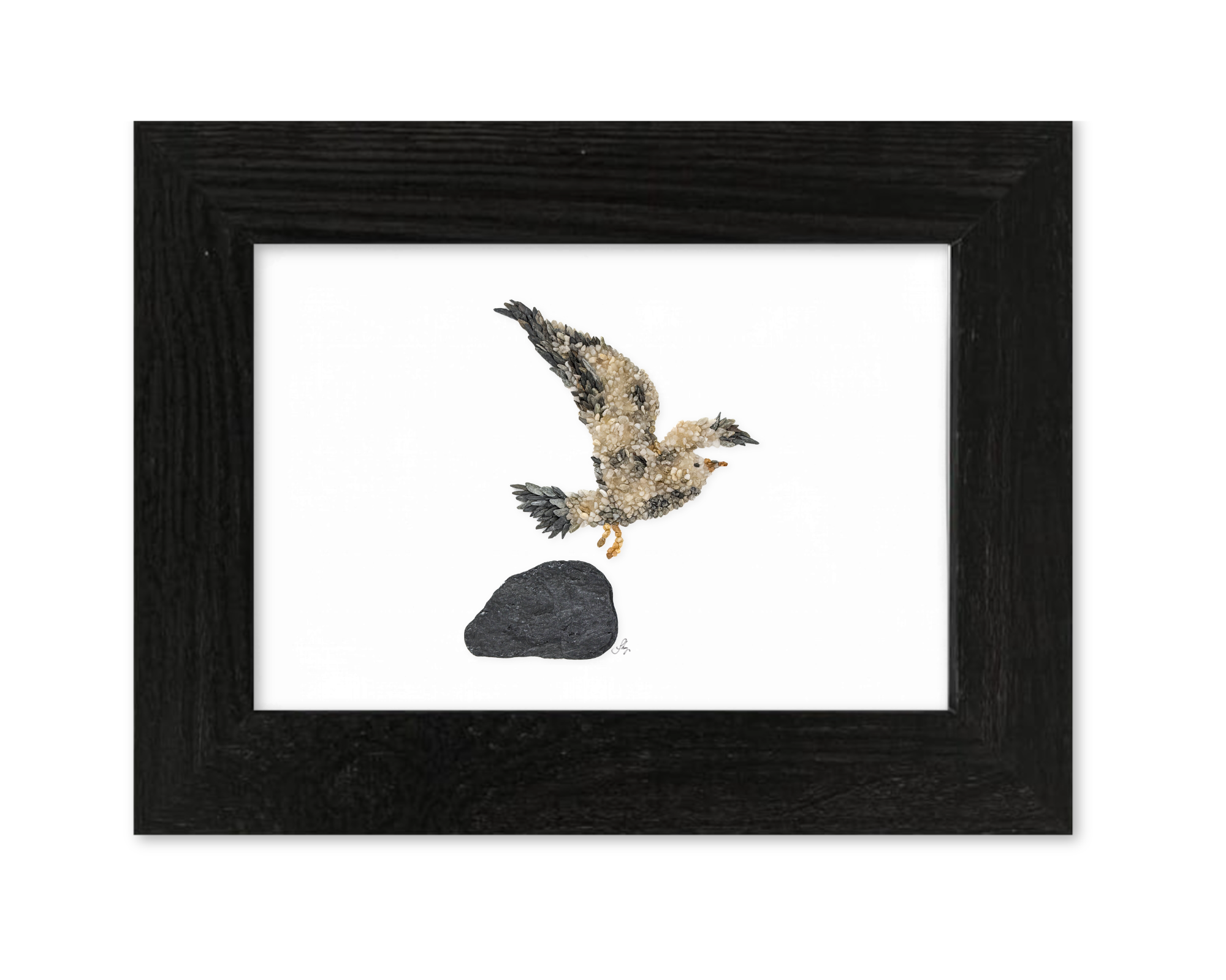 Seagull Bird Print