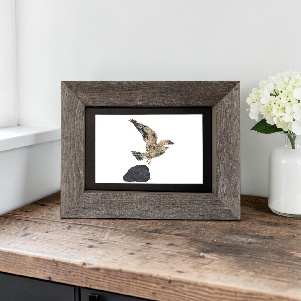 Seagull Bird Print