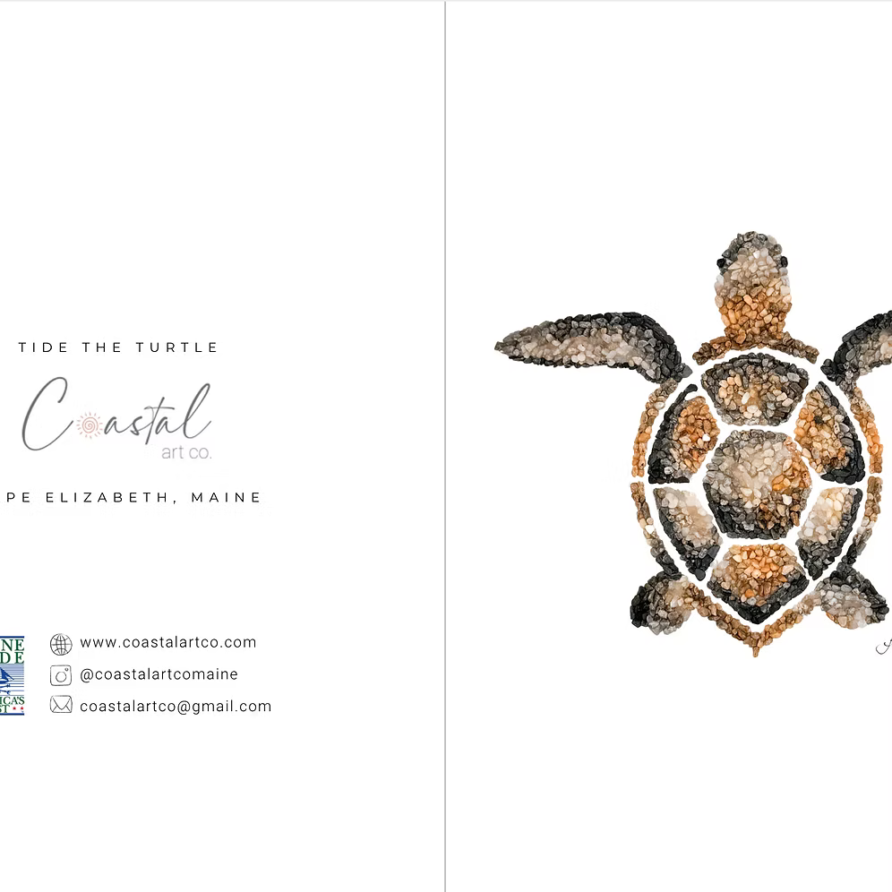 Tide the Sea Turtle All Occasion Card