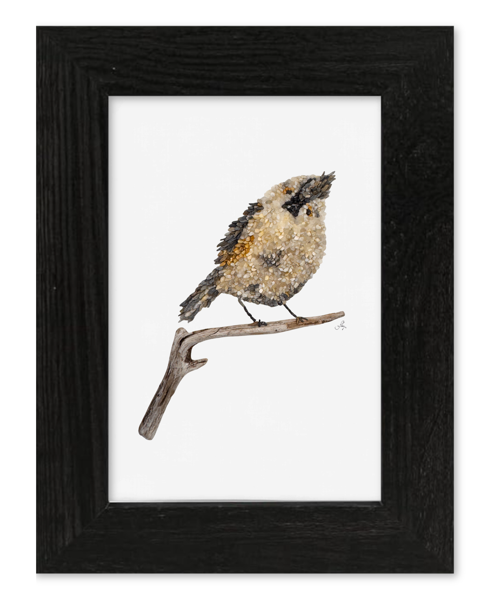 Titmouse Bird Print