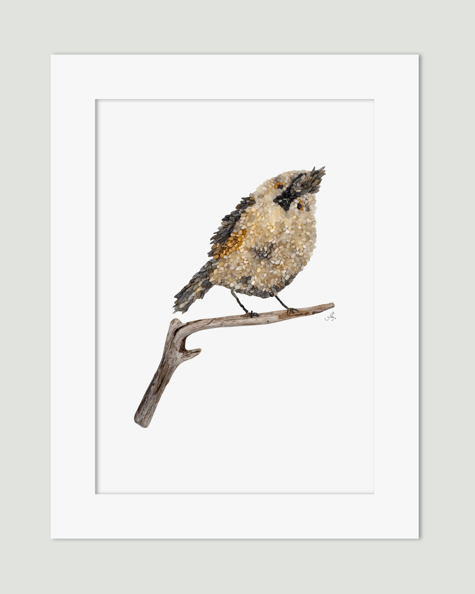 Titmouse Bird Print
