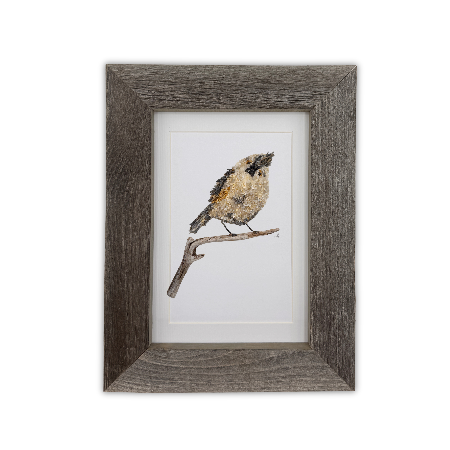 Titmouse Bird Print