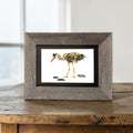 Wade the Fishing Heron Print