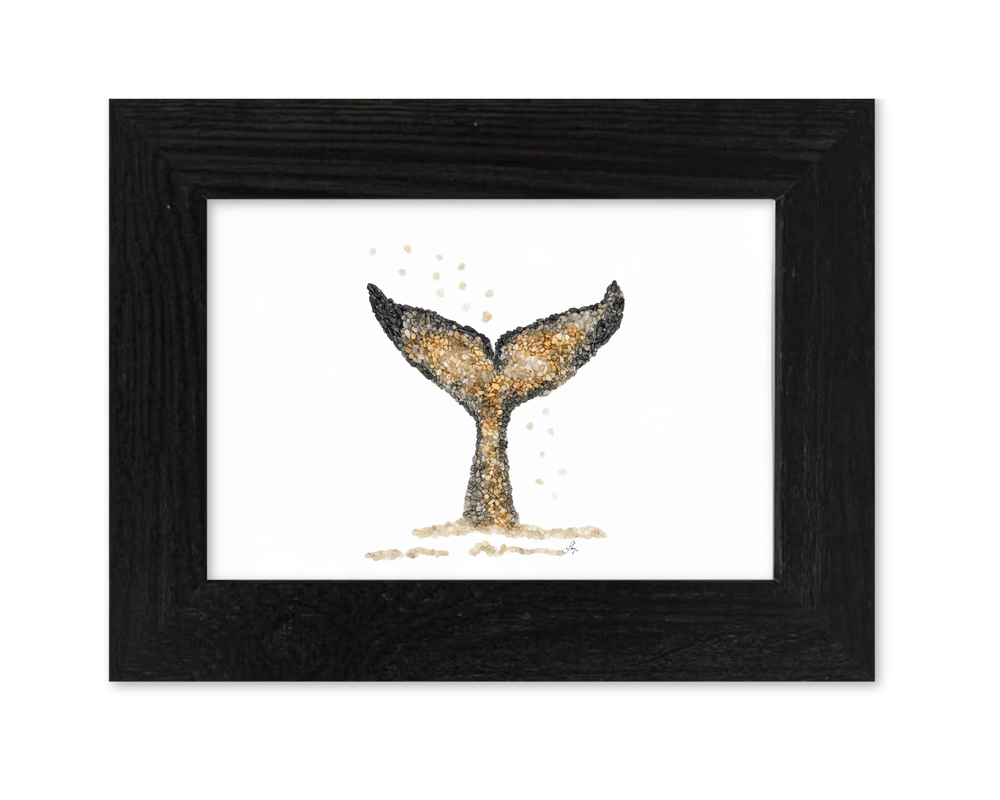 Whale Tail Print