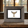 Whale Tail Print