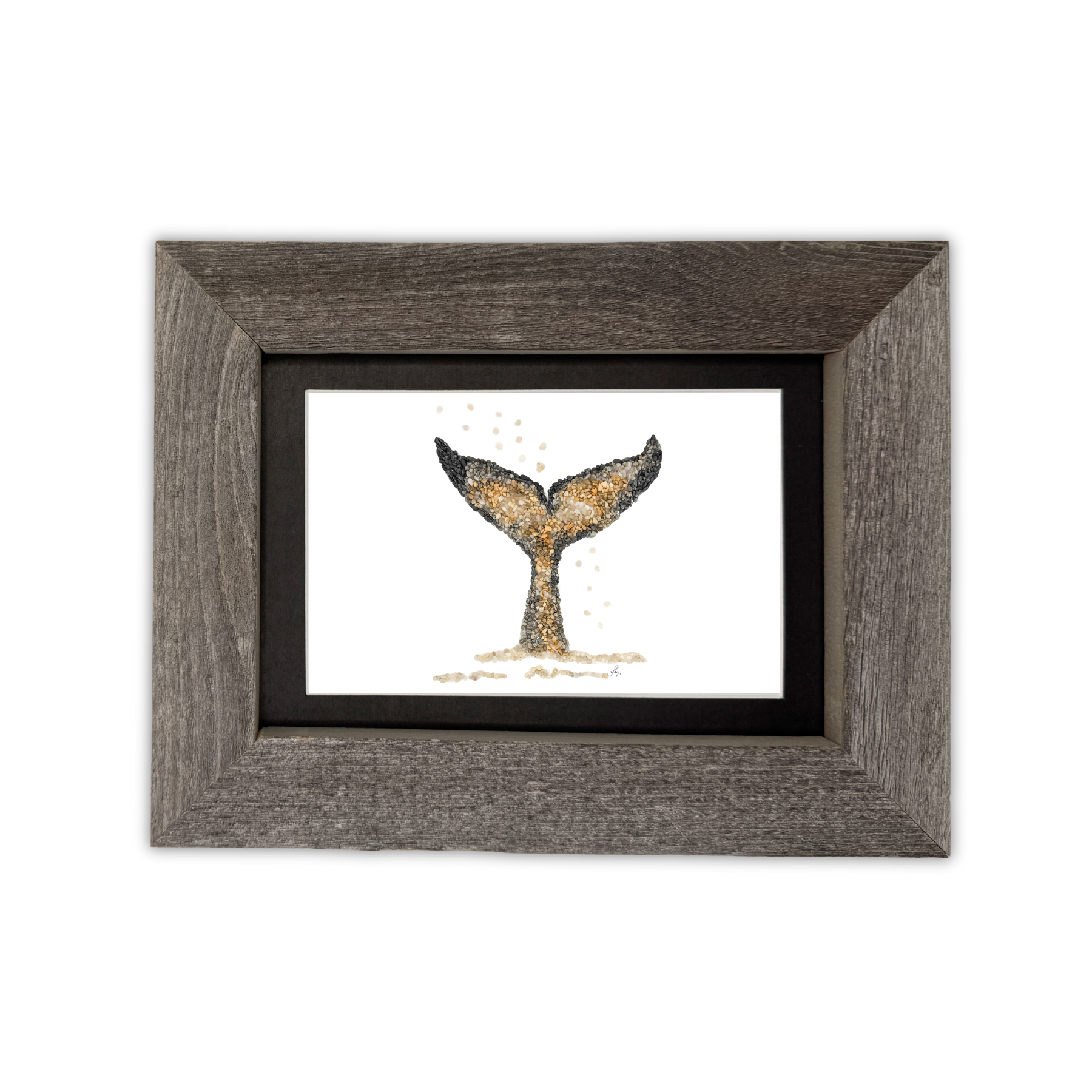 Whale Tail Print