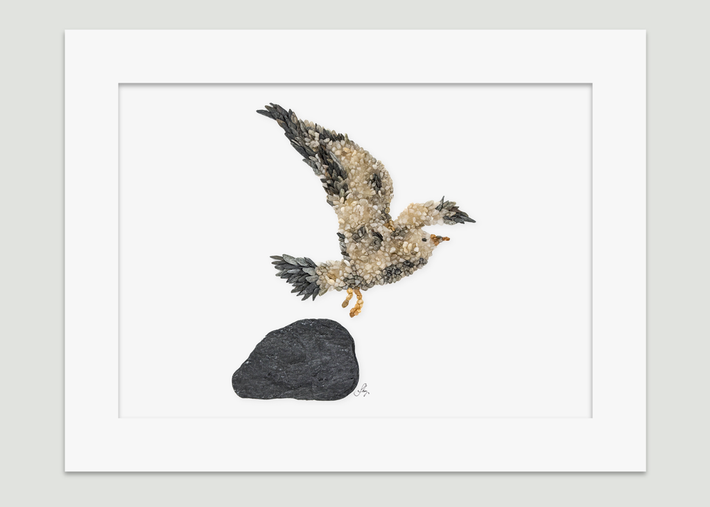 Seagull Bird Print