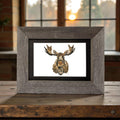 Moose Print