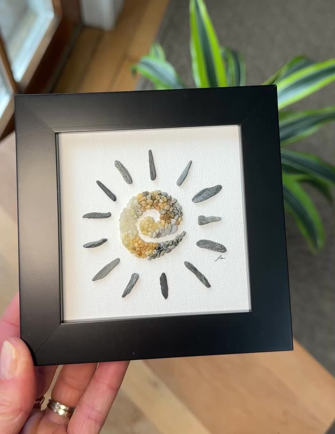 Coastal Sun Mini Original