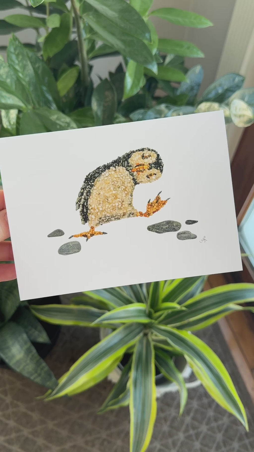 Pip the Puffin All Occasion Card