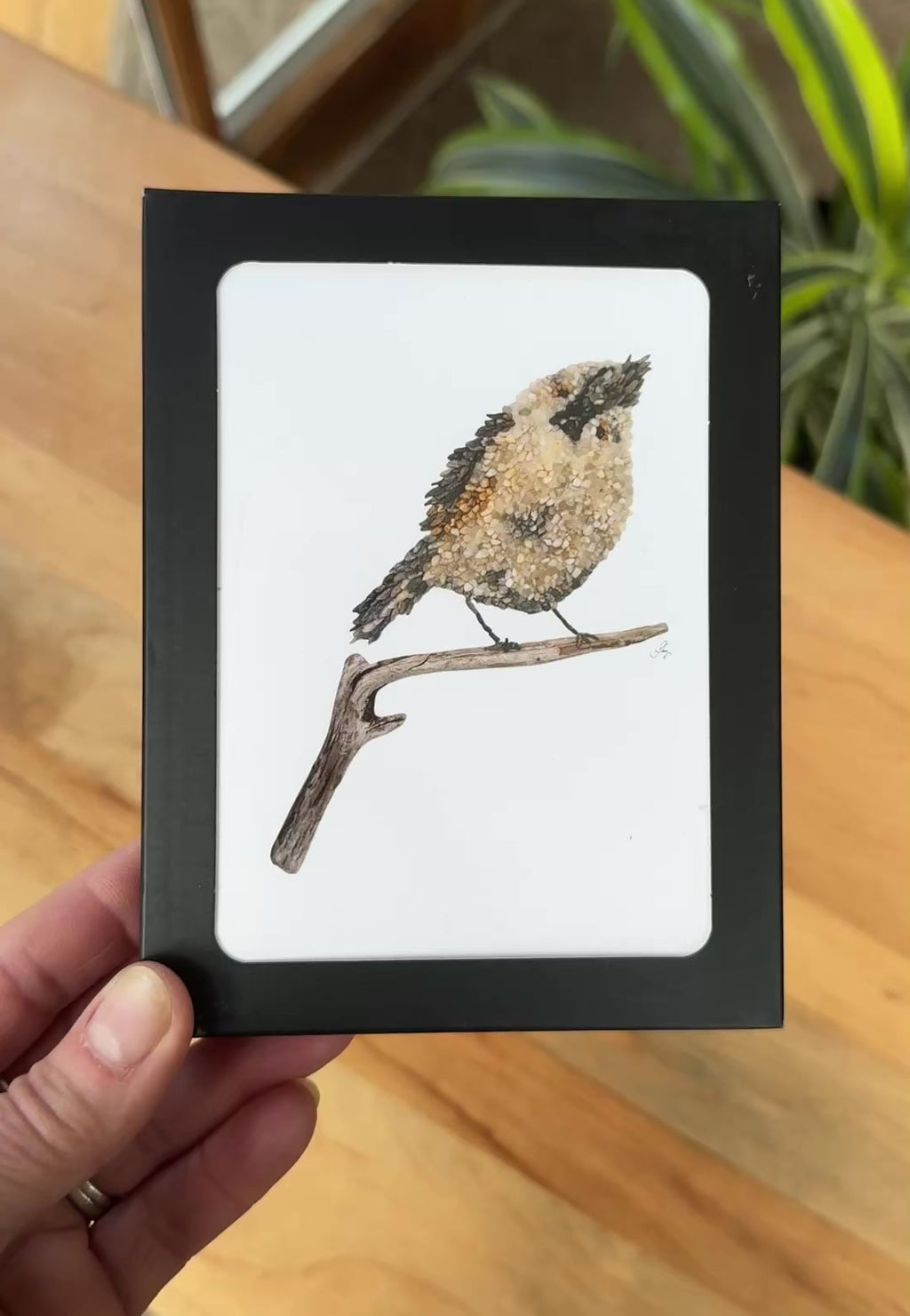 Little Bird Notecards - 3 unique designs (2 of each)