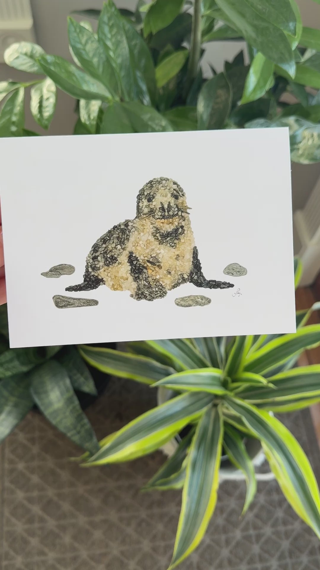 Flipper the Seal All Occasion Card
