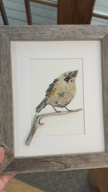 Titmouse Bird Original