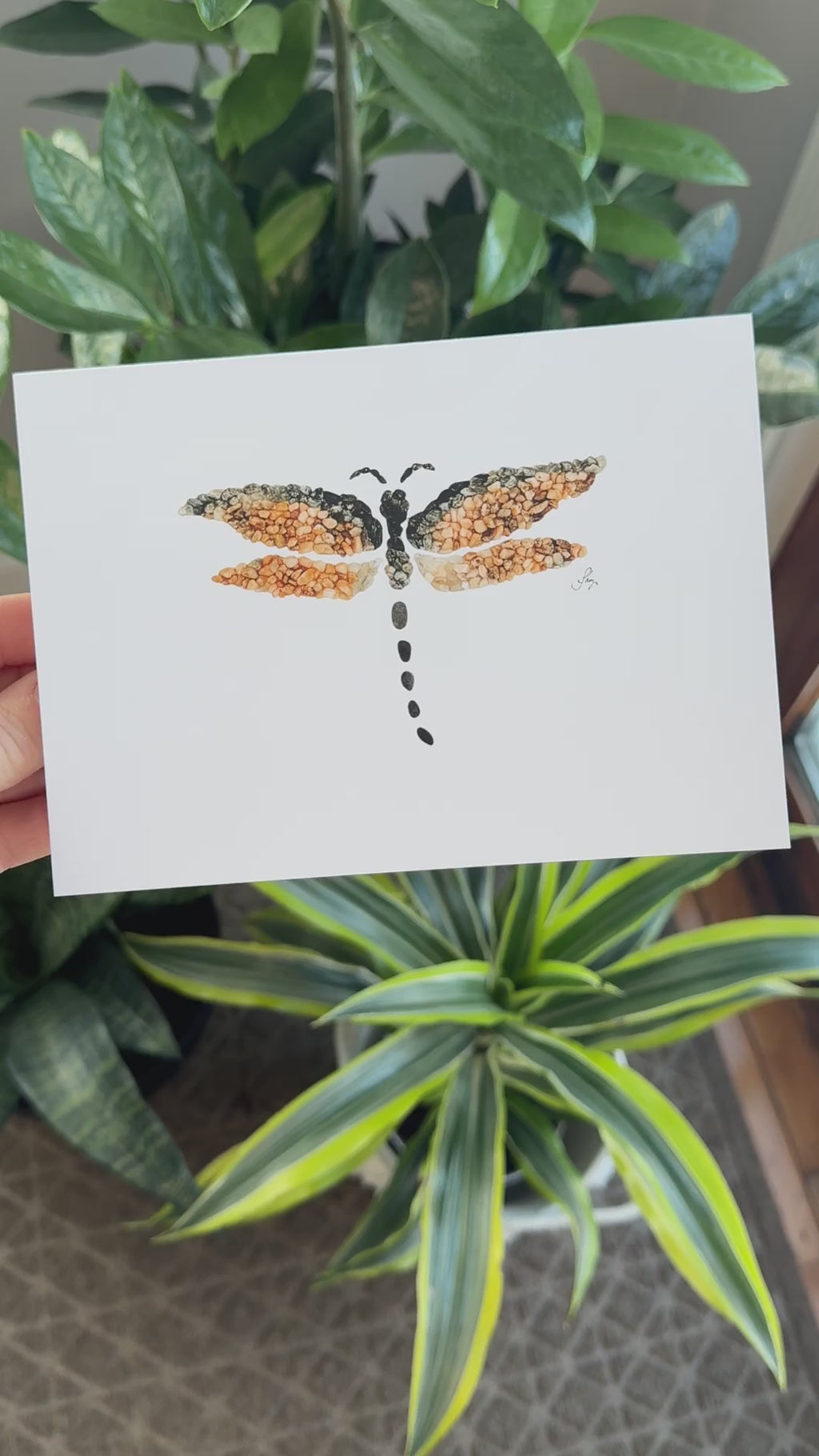 Dragonfly All Occasion Card