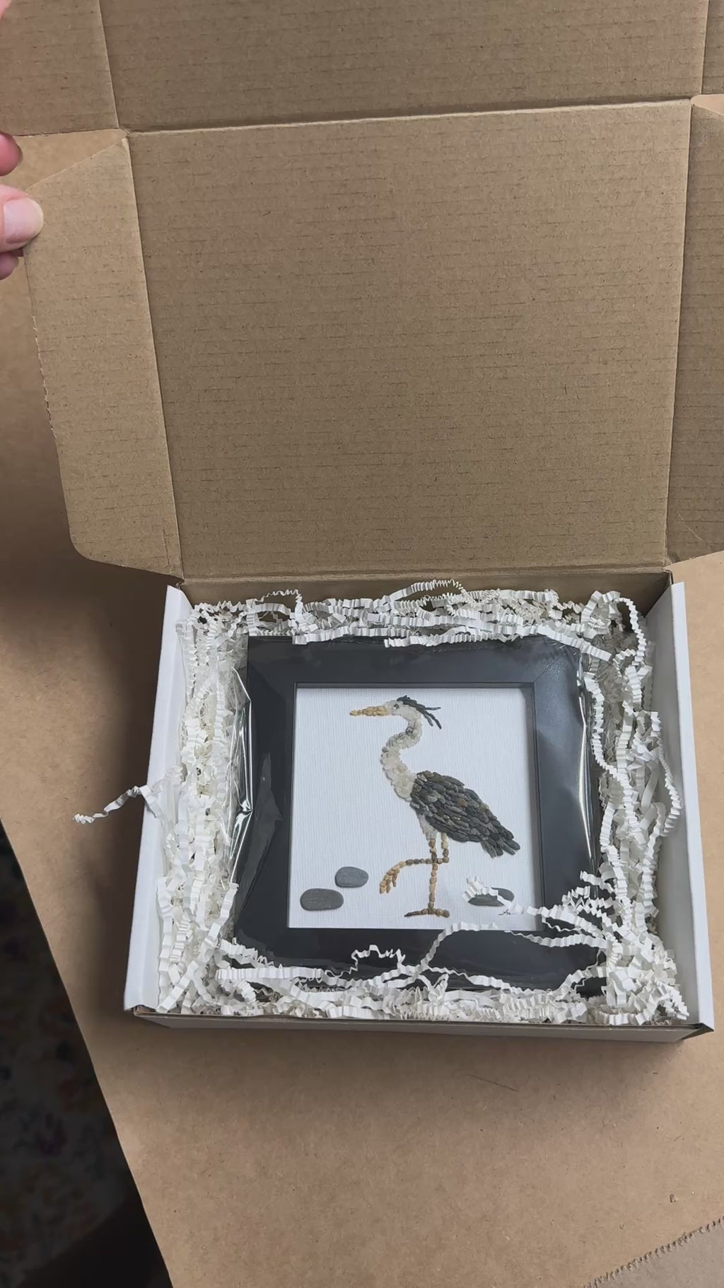 Piping Plover Bird Mini Original