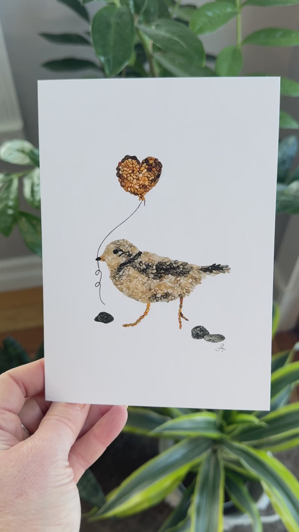 Piping Plover All Occasion Card