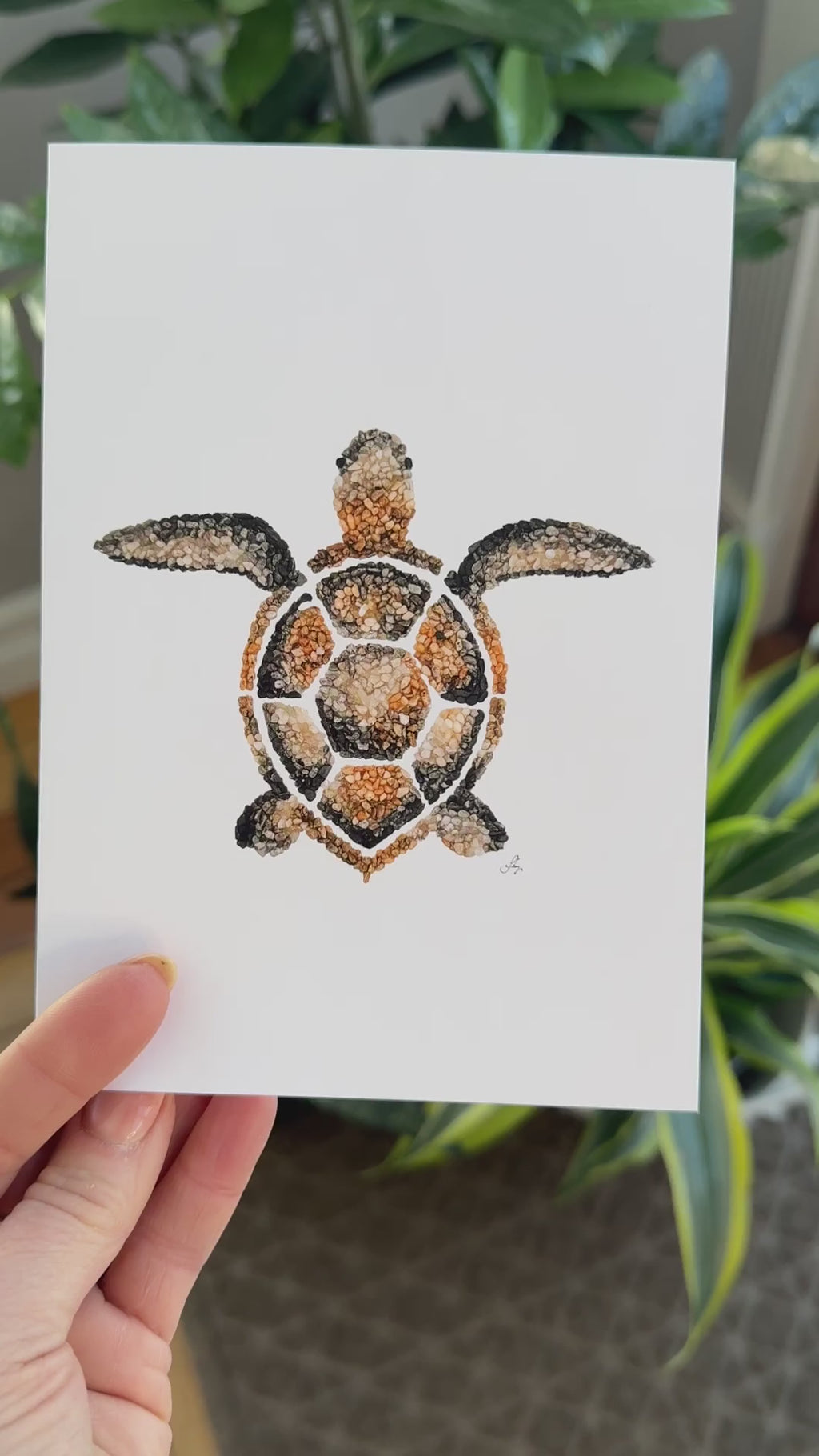 Tide the Sea Turtle All Occasion Card