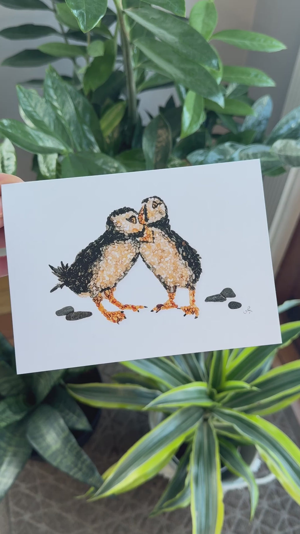 Puffin Birds All Occasion Card